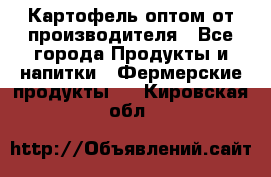 Картофель оптом от производителя - Все города Продукты и напитки » Фермерские продукты   . Кировская обл.